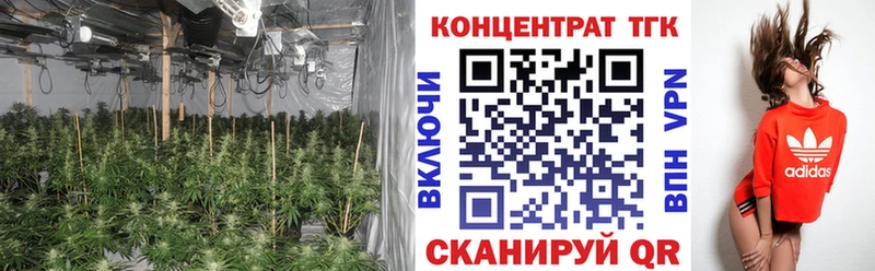 ТГК Wax Фёдоровский